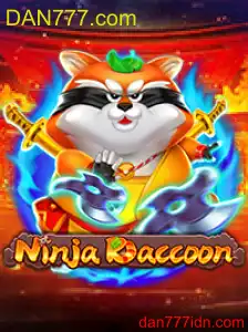 NinjaRaccoon